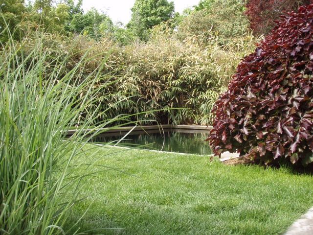 Teichanlage in Alzey