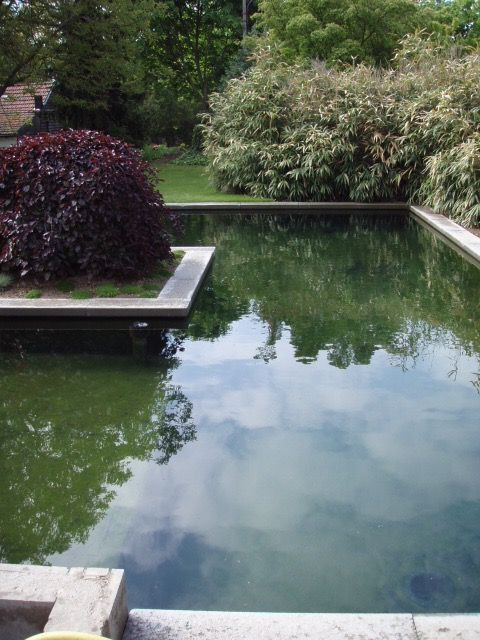 Teichanlage in Alzey