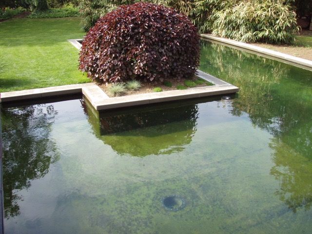 Teichanlage in Alzey