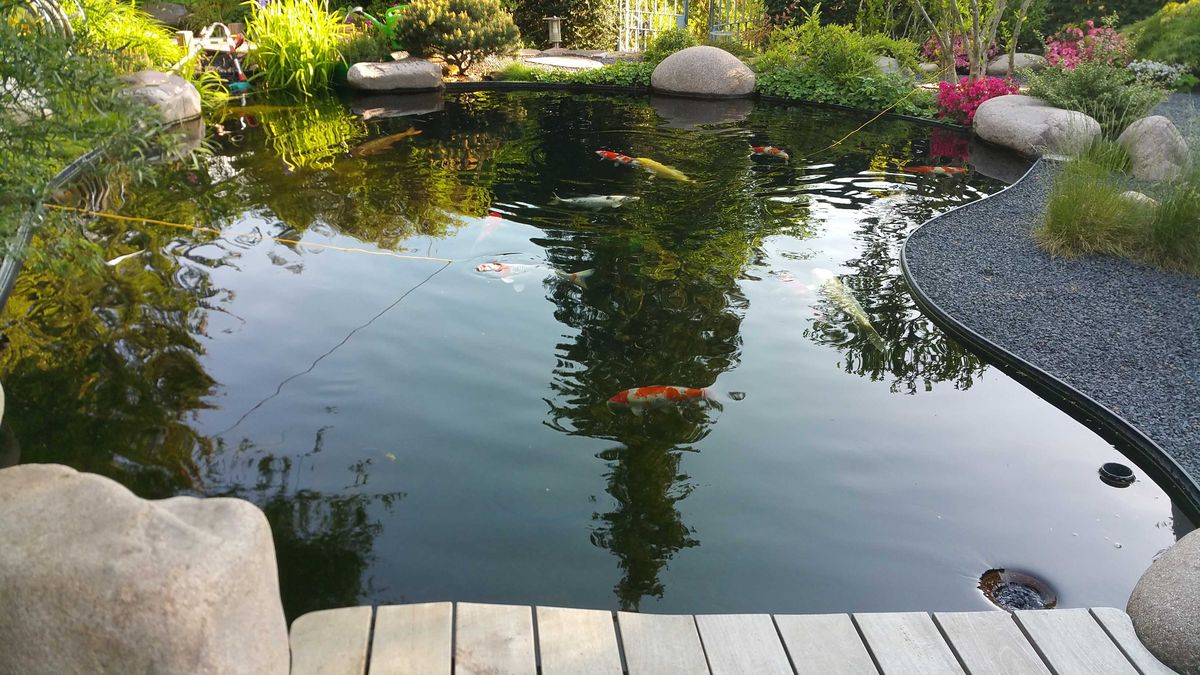 Teichanlage in Weinheim